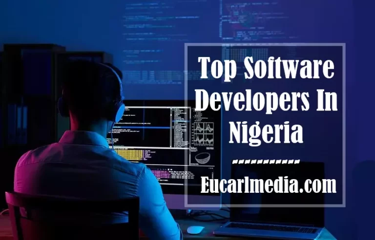 Top Software Developers In Nigeria